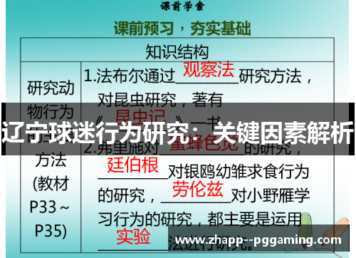 辽宁球迷行为研究：关键因素解析