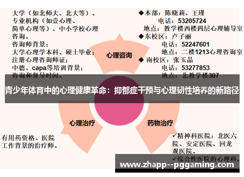 青少年体育中的心理健康革命:抑郁症干预与心理韧性培养的新路径 青少年体育中的心理健康革命:抑郁症干预与心理韧性培养的新路径